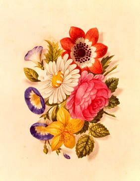 Photo of "FLOWER ILLUSTRATION" by  ANONYMOUS