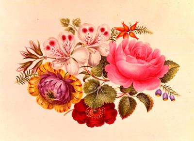 Photo of "FLOWER ILLUSTRATION" by  ANONYMOUS