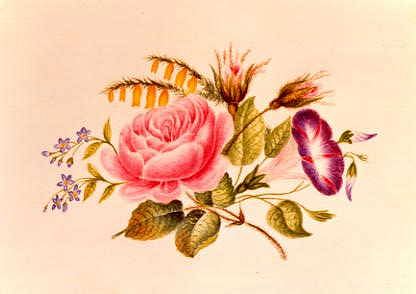 Photo of "FLOWER ILLUSTRATION" by  ANONYMOUS