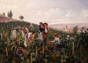 Photo of "THE GRAPE HARVEST" by  ANONYMOUS