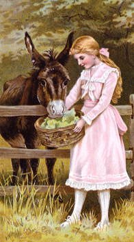 Photo of "FEEDING THE DONKEY" by  ANONYMOUS