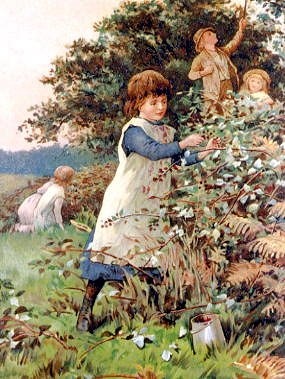 Photo of "THE BLACKBERRY PICKERS FROM ""DAISY DAYS""" by VICTORIAN ANONYMOUS