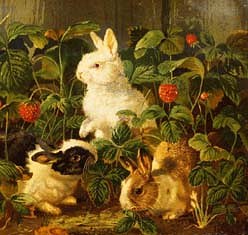 Photo of "RABBITS AND STRAWBERRIES" by  ANONYMOUS