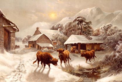 Photo of "HIGHLAND CATTLE IN THE SNOW" by (SCOTTISH PRINT) ANONYMOUS