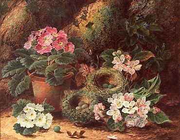 Photo of "APPLE BLOSSOM AND PRIMULAS" by OLIVER CLARE