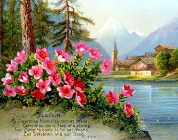 Photo of "ALPINE BLOSSOMS" by  ANONYMOUS