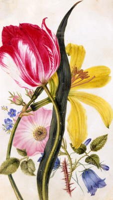 Photo of "STILL LIFE OF LILY, ROSE, HAREBELL AND TULIP" by  ANONYMOUS