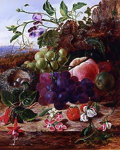 Photo of "STILL LIFE OF FRUIT, FUCSHIA AND BIRD NEST" by GEORGE CLARE