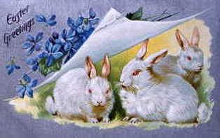 Photo of "EASTER GREETINGS" by  ANONYMOUS