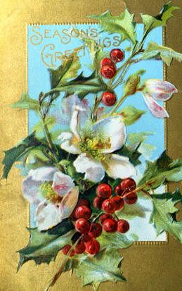 Photo of "SEASON'S GREETINGS" by 19TH CENTURY ANONYMOUS