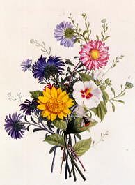 Photo of "A STILL LIFE OF ASTERS AND HIBISCUS" by C. 1850 ANONYMOUS