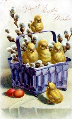 Photo of "LOVING EASTER WISHES (CHICKS IN BASKET)" by  ANONYMOUS