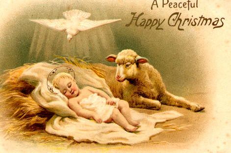 Photo of "A PEACEFUL HAPPY CHRISTMAS" by  ANONYMOUS