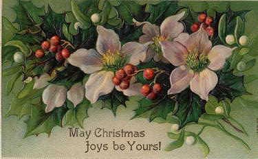 Photo of "MAY CHRISTMAS JOYS BE YOURS" by  ANONYMOUS