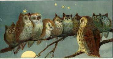 Photo of "CHRISTMAS OWLS" by  ANONYMOUS