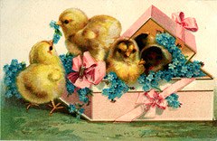 Photo of "EASTER FLOWERS AND CHICKS" by  ANONYMOUS