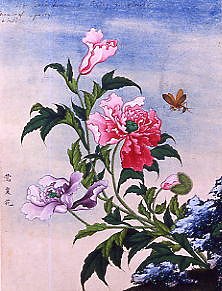 Photo of "WATERCOLOUR OF FLOWERS" by CHINESE WATERCOLOUR ANONYMOUS