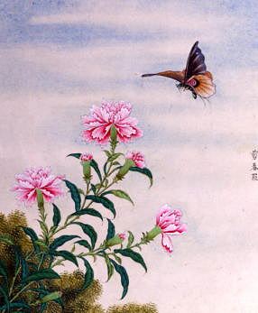 Photo of "SPRING GAWSE" by CHINESE WATERCOLOUR ANONYMOUS