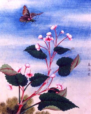 Photo of "FLOWERS." by CHINESE WATERCOLOUR ANONYMOUS