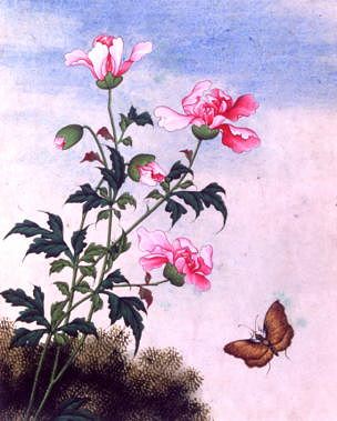 Photo of "FLOWERS" by CHINESE WATERCOLOUR ANONYMOUS