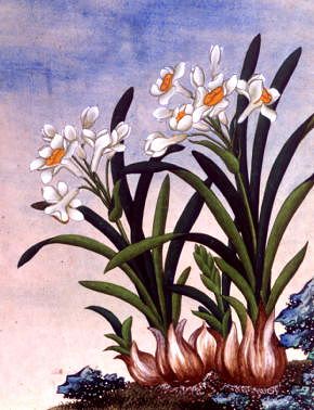 Photo of "FLOWERS." by CHINESE WATERCOLOUR ANONYMOUS