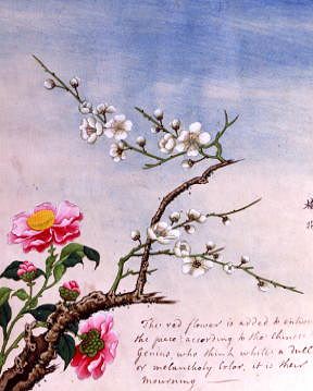 Photo of "FLOWERS." by CHINESE WATERCOLOUR ANONYMOUS