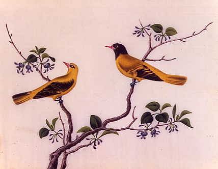 Photo of "STILL LIFE WITH BIRDS AND BLOSSOM." by  ANONYMOUS