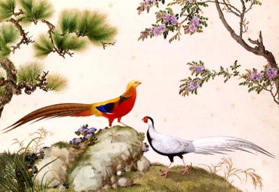 Photo of "FANCY PHEASANTS" by CHINESE WATERCOLOUR ANONYMOUS