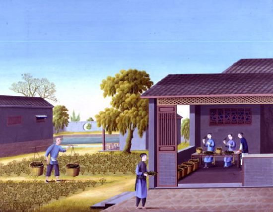 Photo of "TEA-PICKING" by CHINESE SCHOOL C.1820 ANONYMOUS