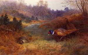 Photo of "PHEASANTS, 1909" by ARCHIBALD THORBURN